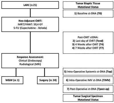 A Pilot, Prospective, Observational Study to Investigate the Value of NGS in Liquid Biopsies to Predict Tumor Response After Neoadjuvant Chemo-Radiotherapy in Patients With Locally Advanced Rectal Cancer: The LiBReCa Study